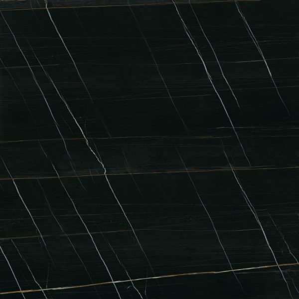 Sahara Noir